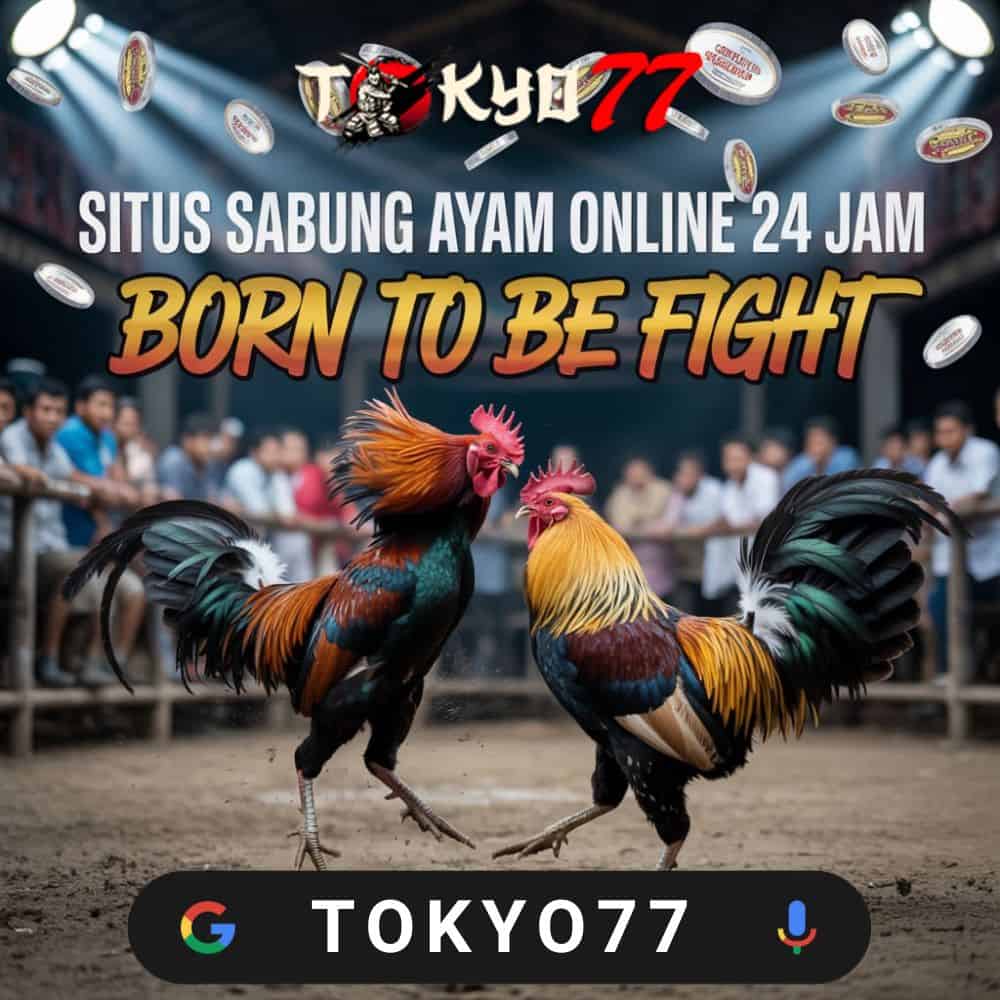 The Modern Gamer’s Guide to Togel, SV388, and Slot777